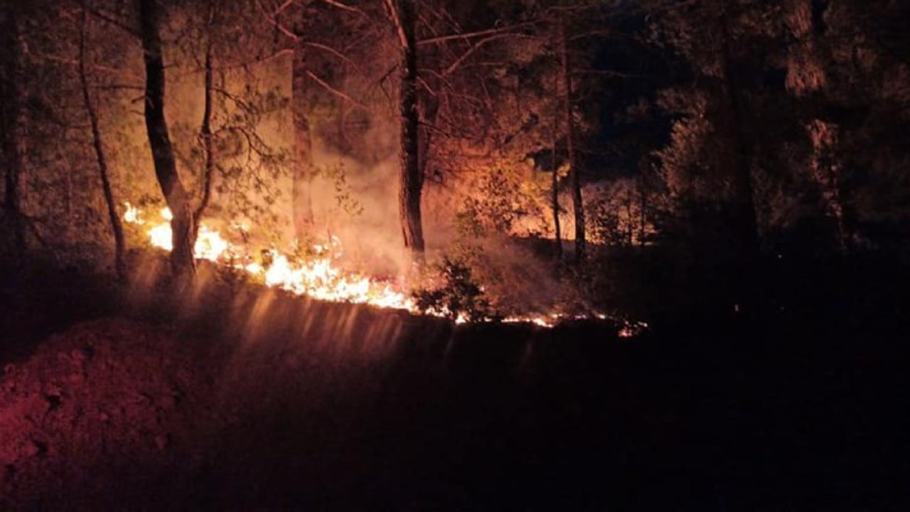Adana'da 6 noktadaki orman yangınlarıyla ilgili bir kişi tutuklandı