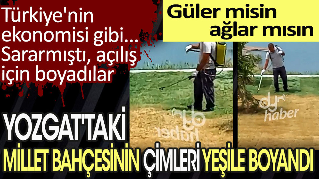 Açılış yapılacak diye millet bahçesinin sararmış çimlerini yeşile boyandı. Bu bir 'Güler misin ağlar mısın' haberidir