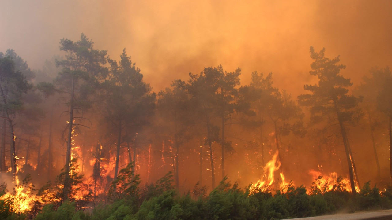 Bursa Valiliği’nden orman yangını uyarısı