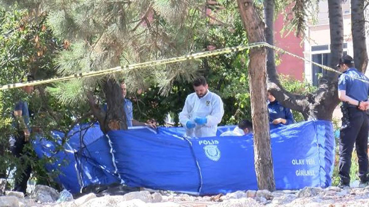 Yol kenarında cansız beden bulundu