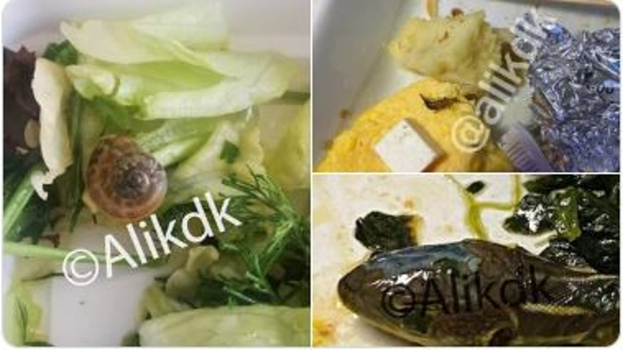 Uçaktaki yemeklerden yılan kafası, salyangoz, küf çıktı. Skandalı havalimanı muhabiri Ali Kıdık paylaştı. Şirket özür diledi