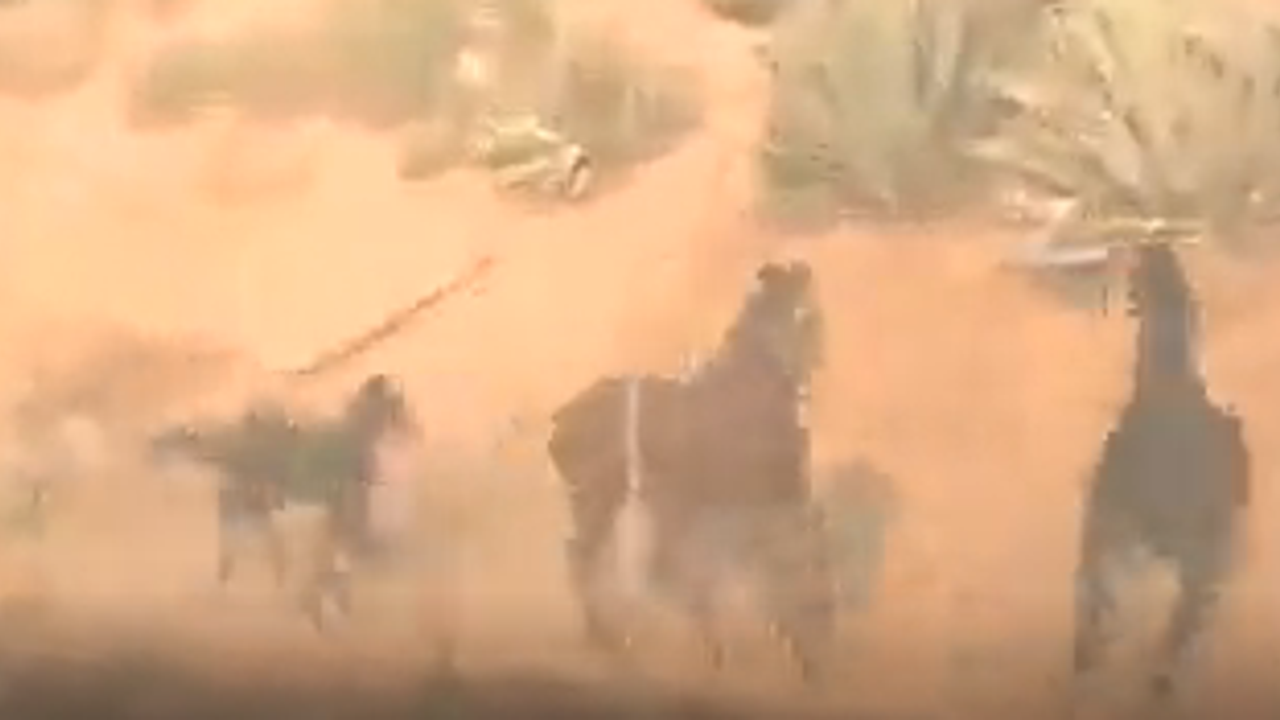 Ailesi yangının içinde olduğu için onları almaya giden at. Müthiş bir görüntü gerçekten inanılmaz