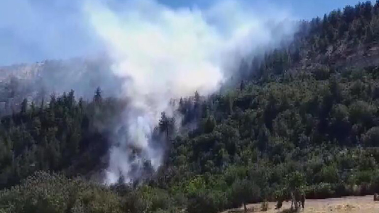 Ermenek'te orman yangını