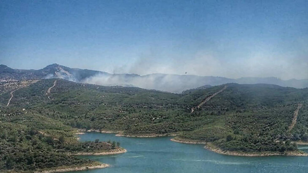 Seferihisar’da orman yangını