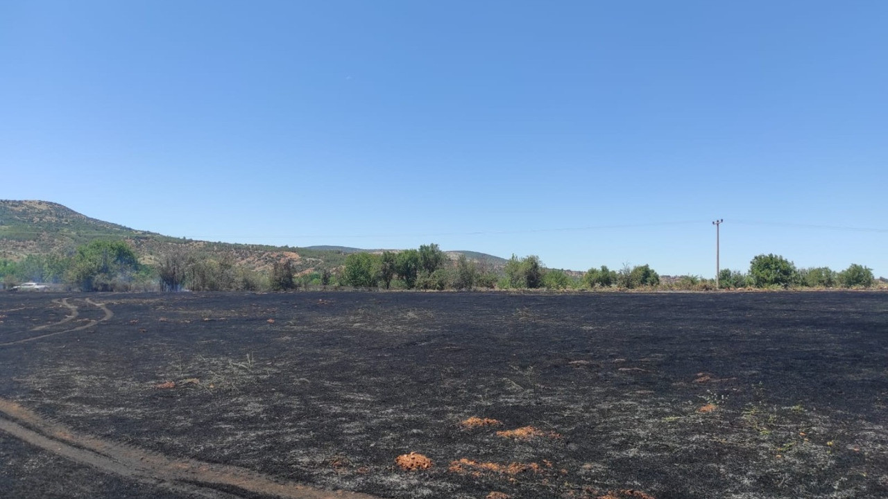 Bilinçsizce yakılan anız 50 dekarlık alanı küle çevirdi