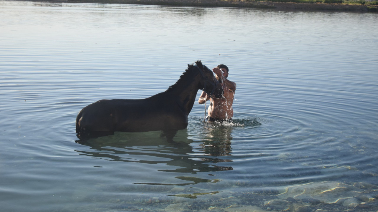 Onların da hakkı serinlemek. Sıcaktan bunalan atlar gölete sokuldu