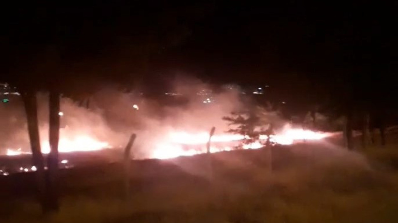 Otluk alanda yangın paniği (24 Temmuz 2022)