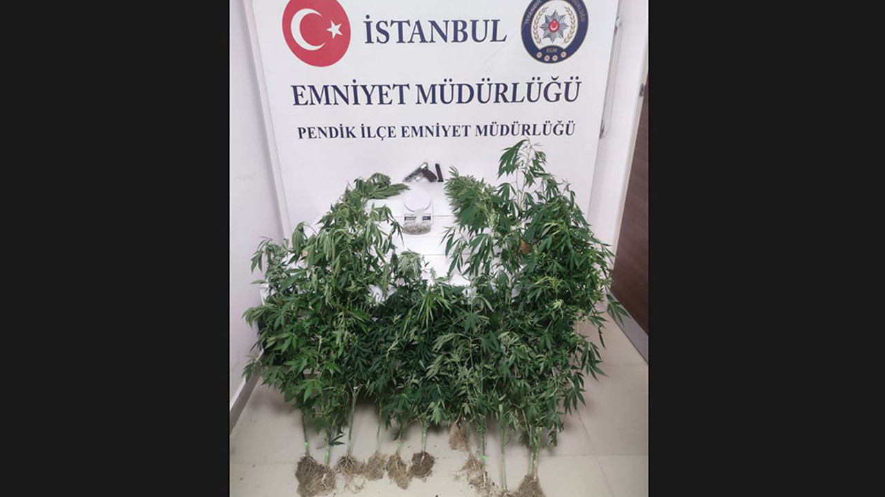 Çatı katında uyuşturucu yetiştiren kardeşler yakalandı