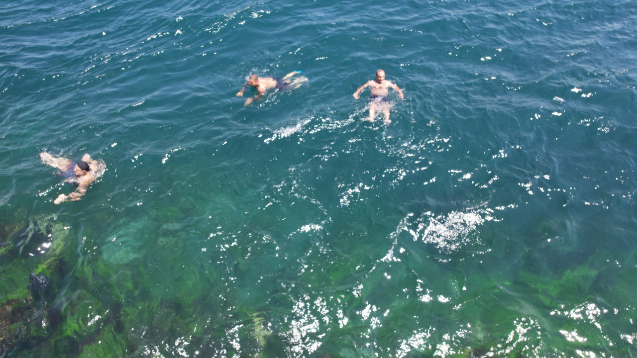 Sıcaktan bunalan kendini denize attı