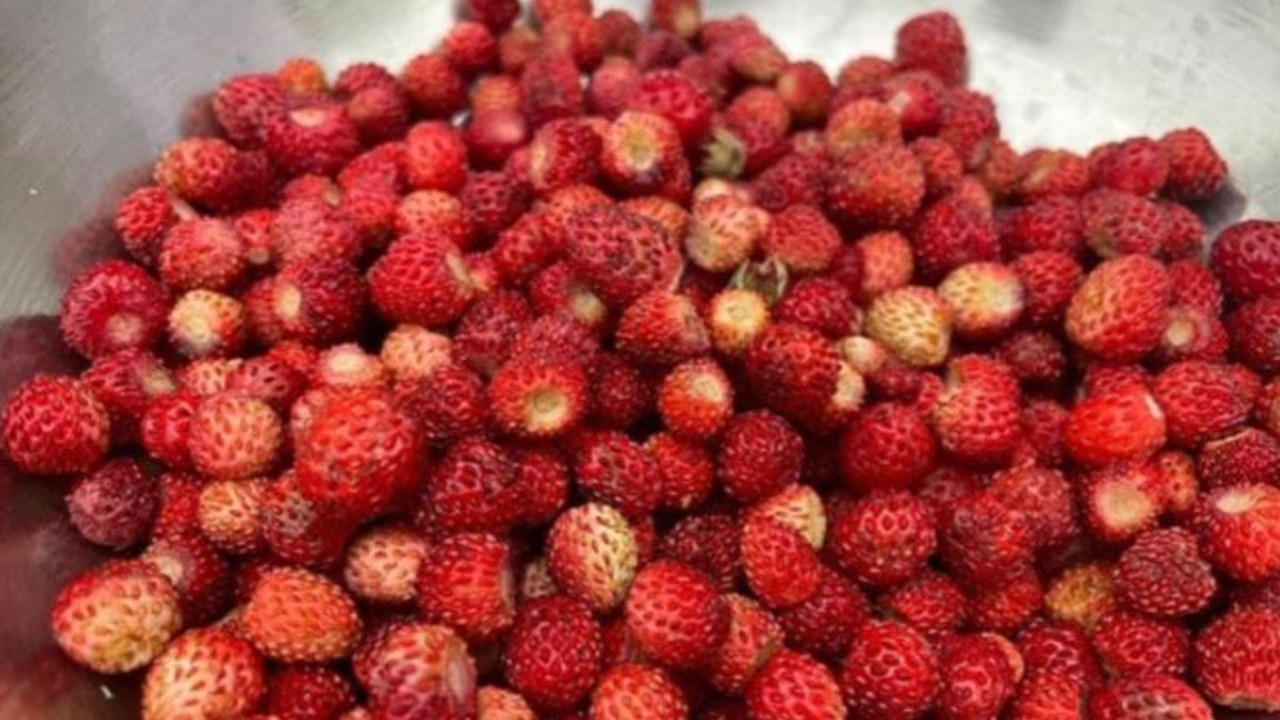 Çilek halde başka pazarda başka | İsyan ettiren fiyat oyunu