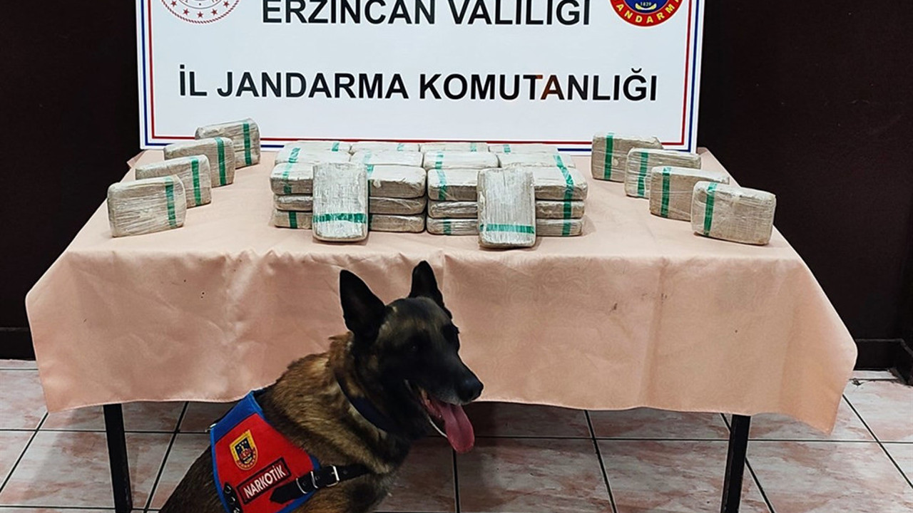 Yolcu otobüsündeki uyuşturucuyu narkotik köpeği 'Avcı' buldu
