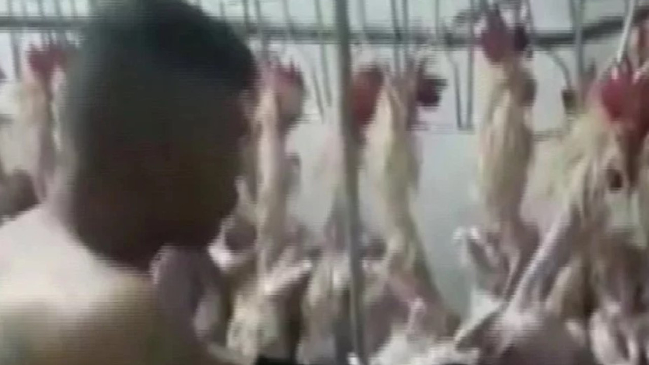 Mezbahada skandal görüntüler. Ağızlarında sigara, üstleri çıplak...