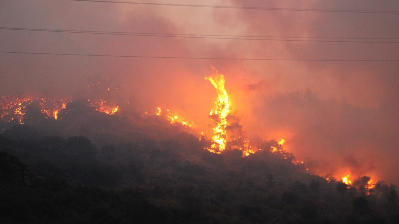 Söke'de çıkan orman yangını kısa sürede yayıldı
