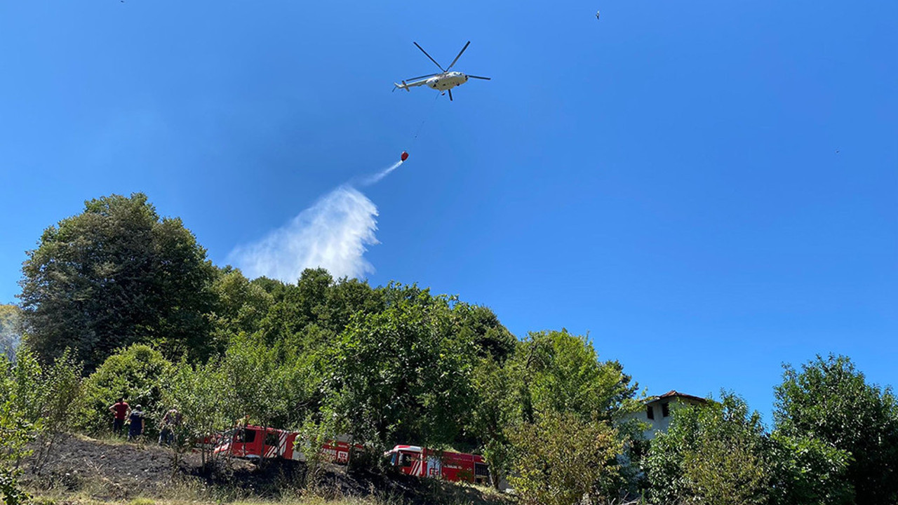 Beykoz’da orman yangını