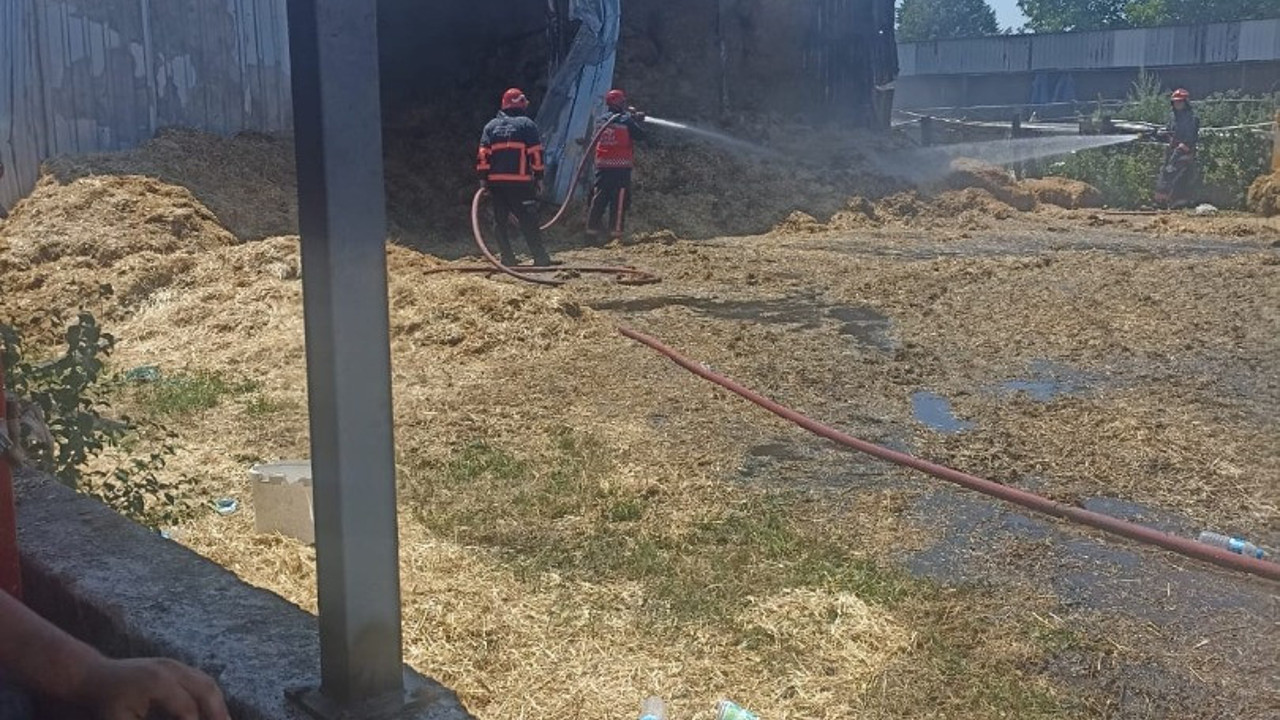 Sakarya'da samanlıkta yangın