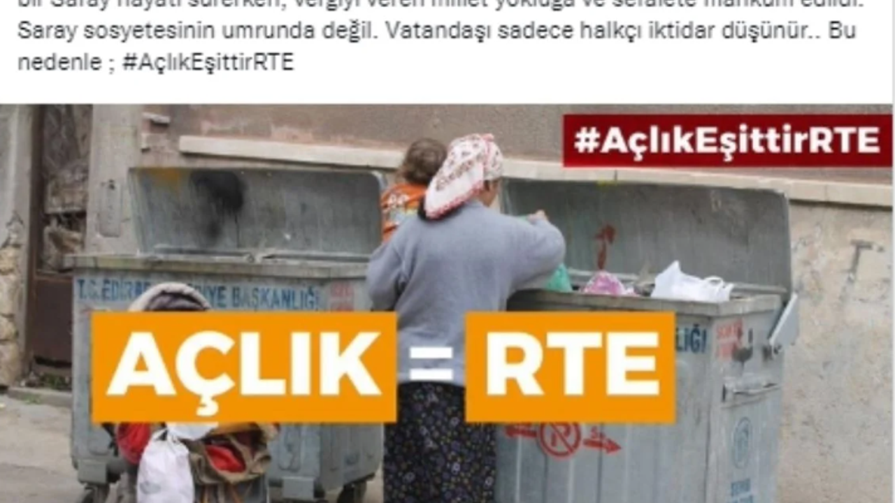 CHP'li Eren Erdem'e 'Erdoğan’a hakaret' soruşturması