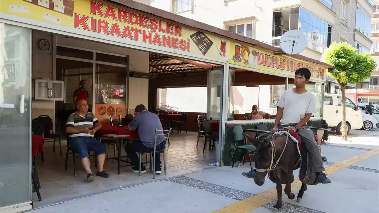Japon turist Merzifon'dan aldığı eşekle Türkiye'yi geziyor. "Acelem yok, yavaş seyahat etmeyi severim"