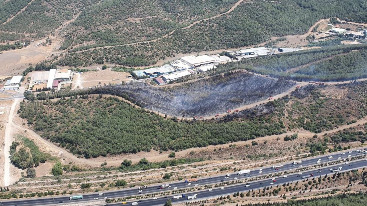 İzmir Buca'da orman yangını