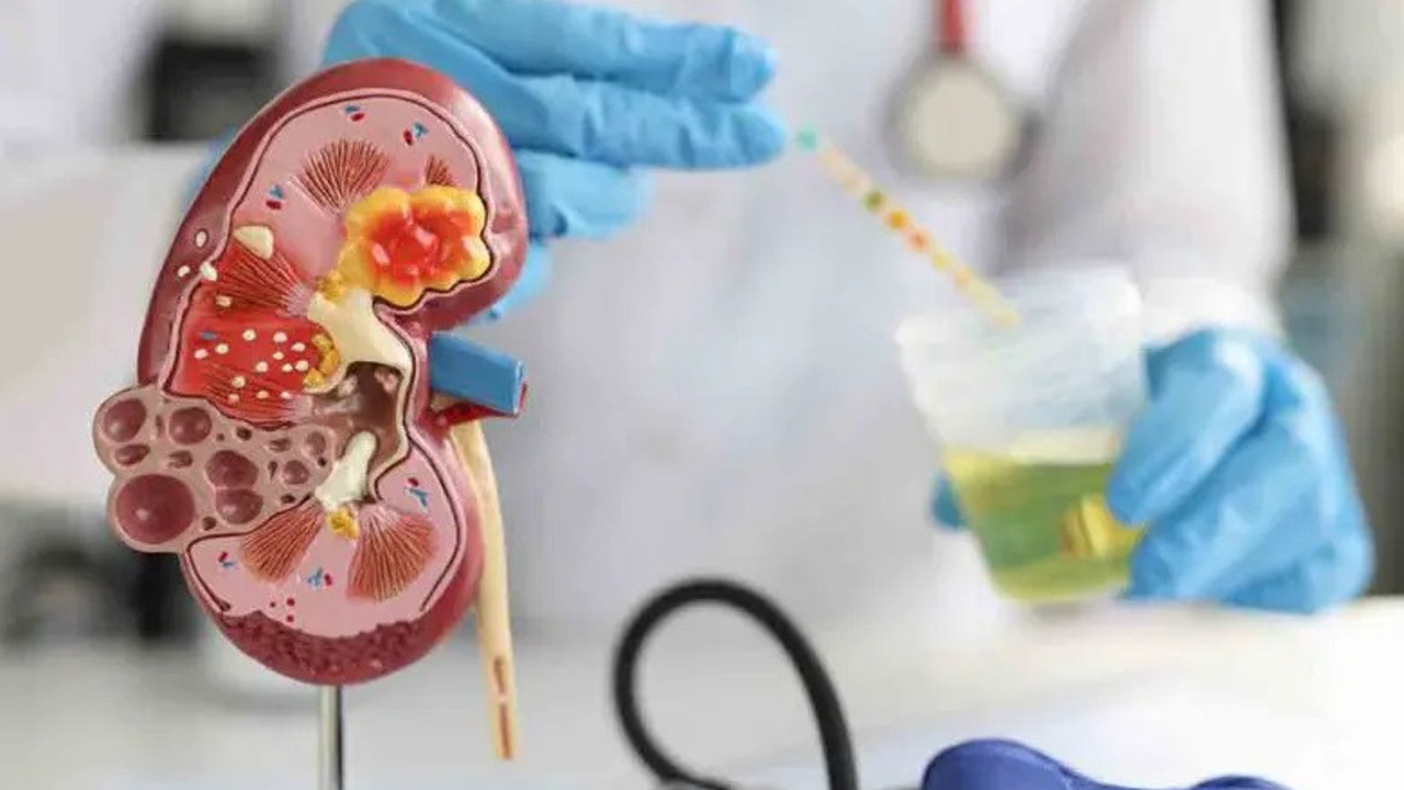 Prof. Özkök: Suyu cam şişeden için