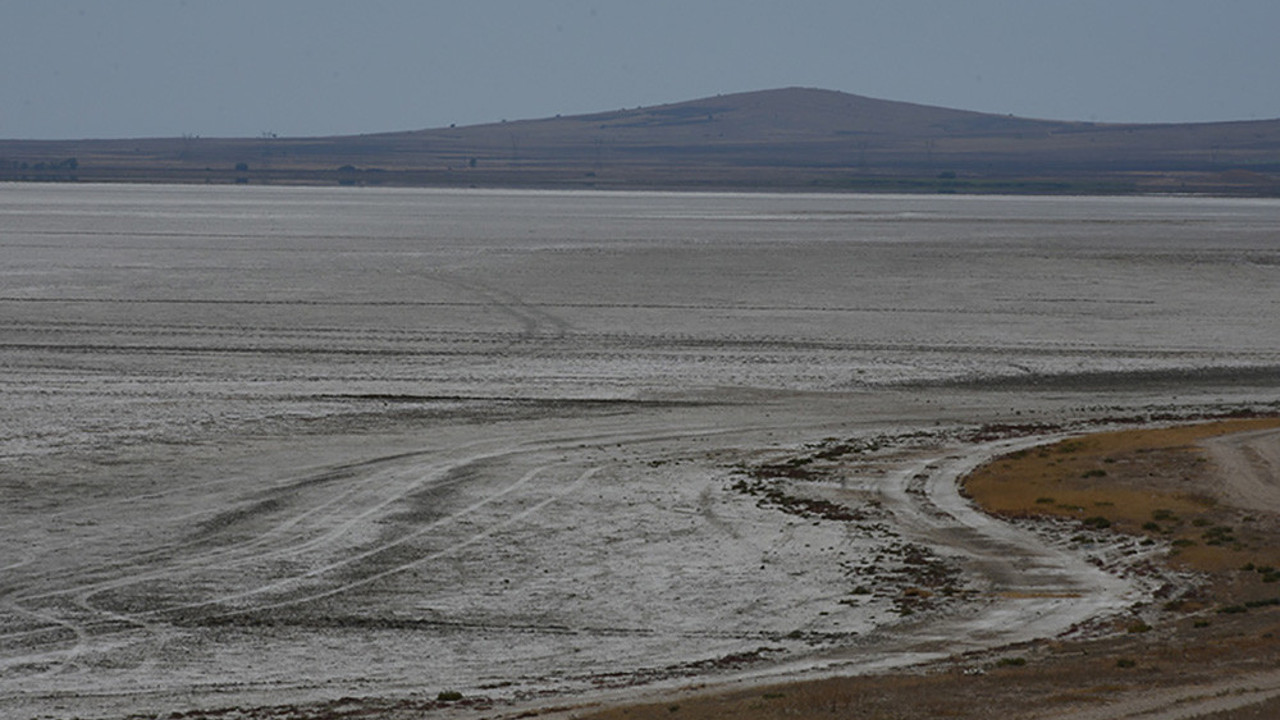 Seyfe Gölü Kuş Cenneti tamamen kurudu. 187 kuş türüne ev sahipliği yapıyordu