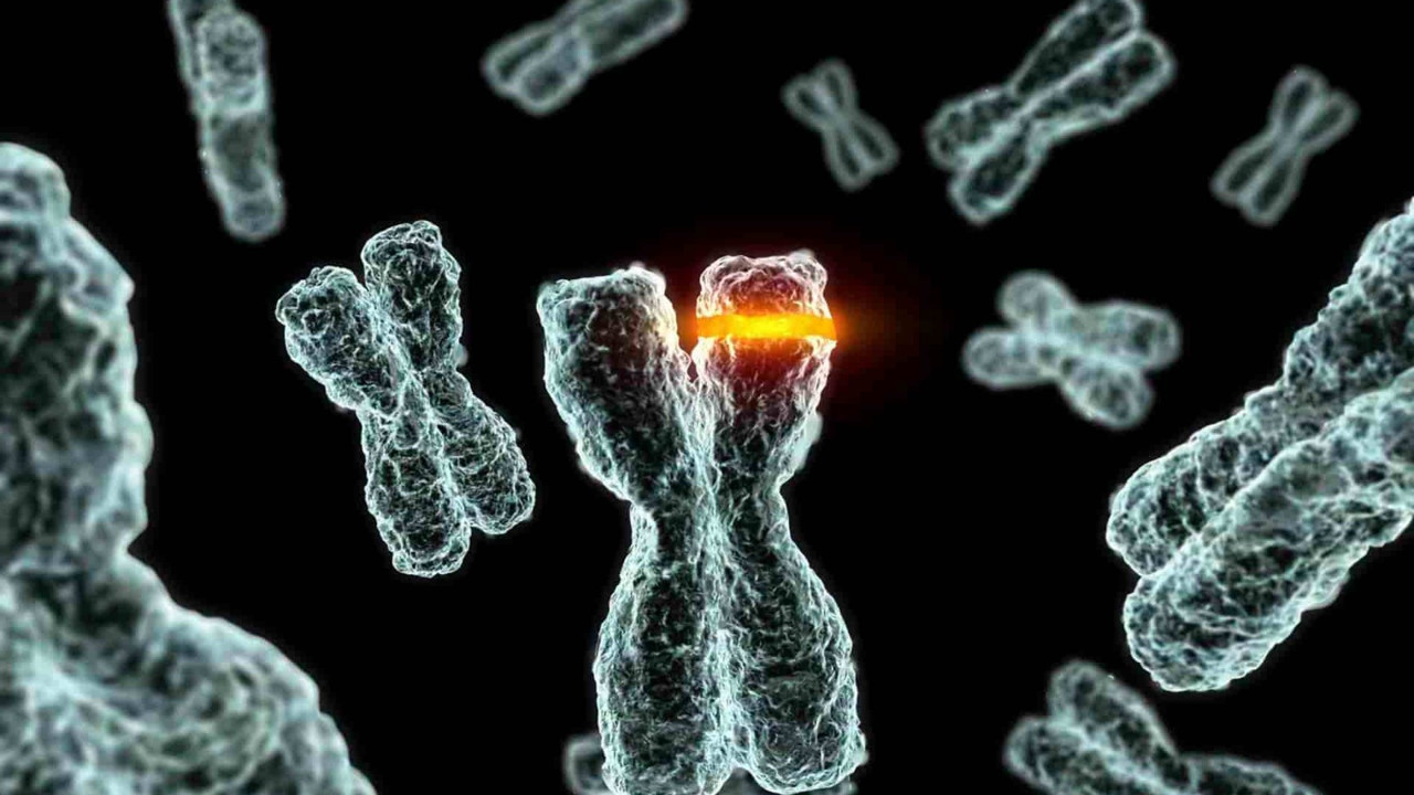 “Akraba evliliklerinde Dünya’da hala ilk sıradayız”