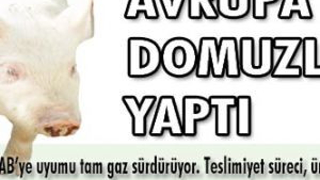 Avrupa domuzluk yaptı