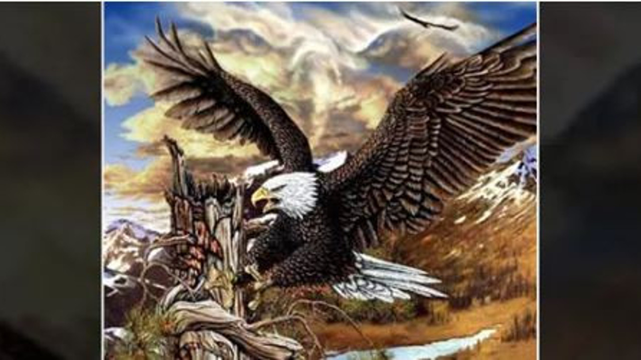 9 kartalı 425 kişiden sadece 8'i bulabildi