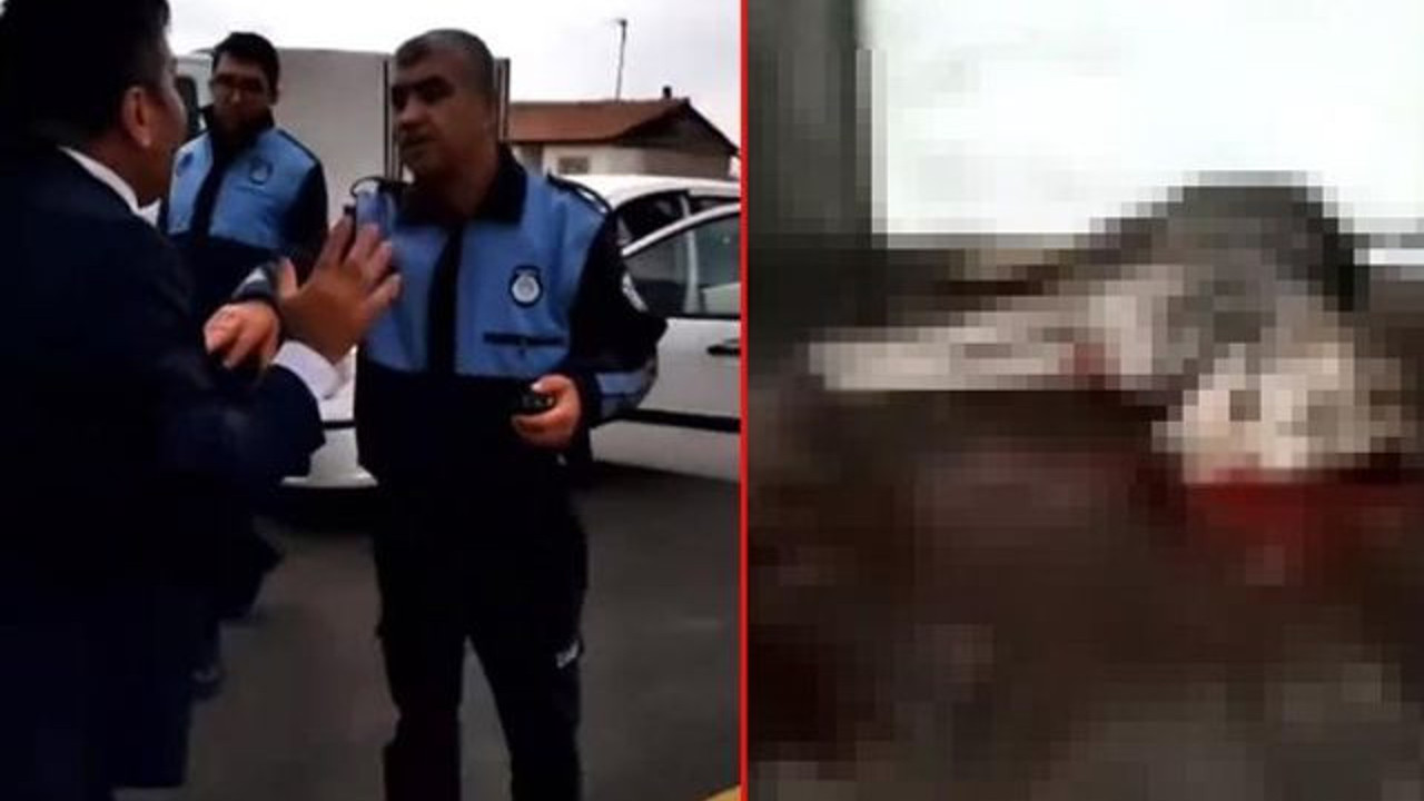 Köpek katliamını ileri sürerek barınağı bastılar. Belediye yasal işlemlerin başlatıldığını açıkladı