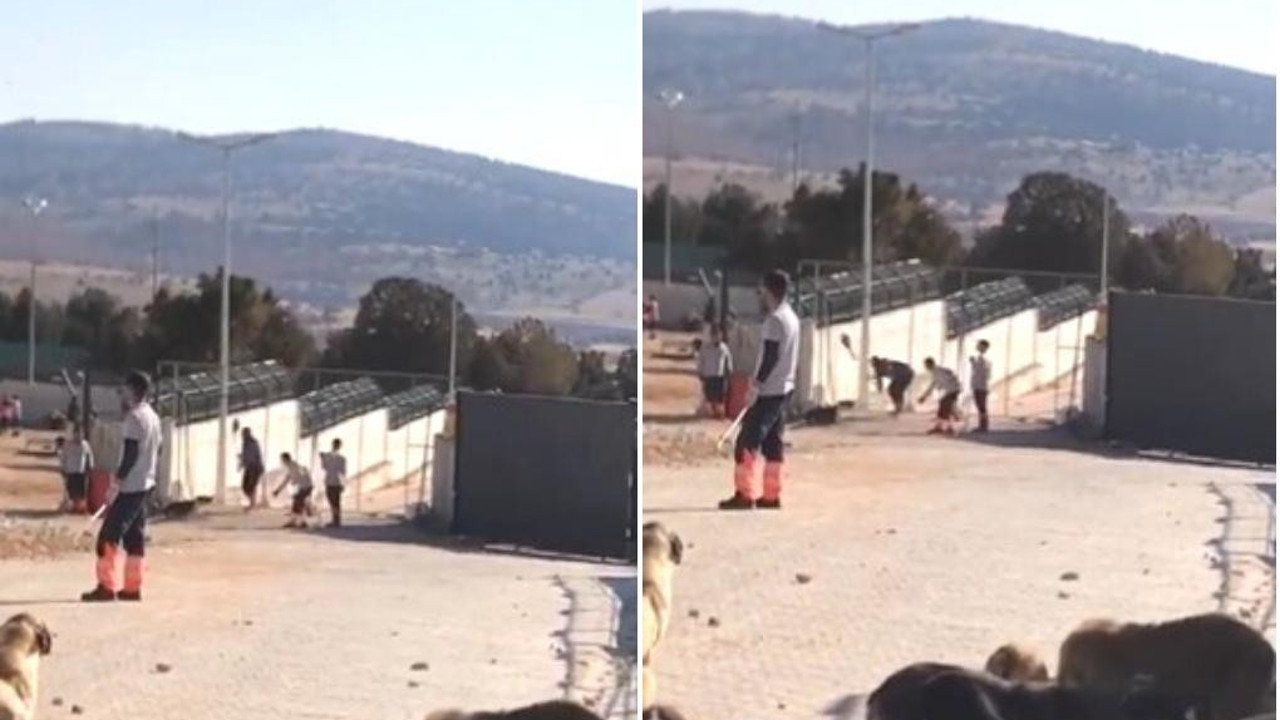 Ünlü isimler Konya'daki hayvan barınağındaki vahşete tepki gösterdi