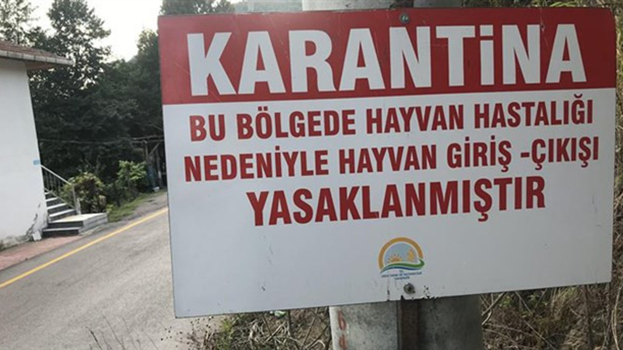 Kayseri'de 6 mahalleye şap karantinası