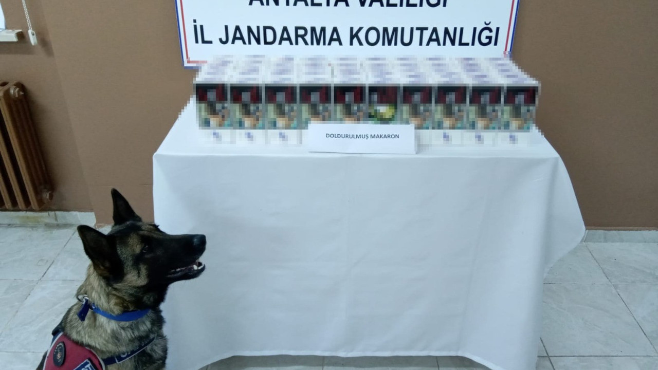 Yolcu otobüsünden 10 bin adet doldurulmuş makaron çıktı