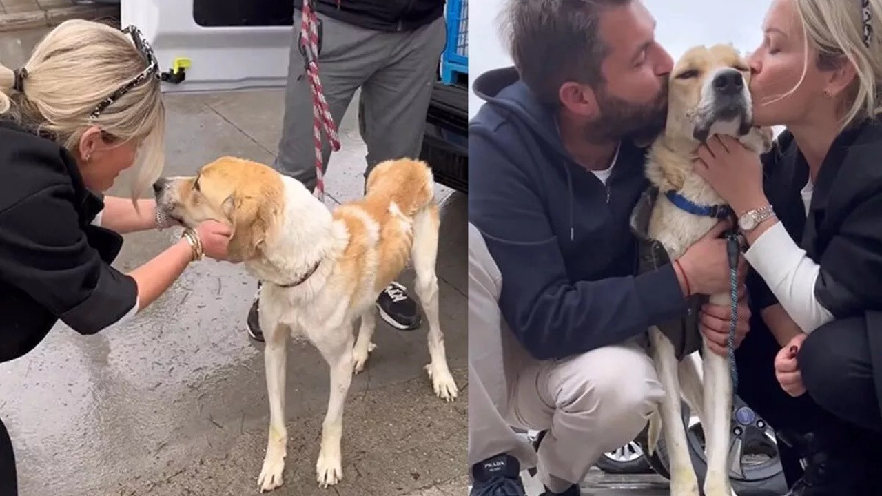 Fenomen Meriç Keskin Konya'daki barınaktan köpek sahiplendi