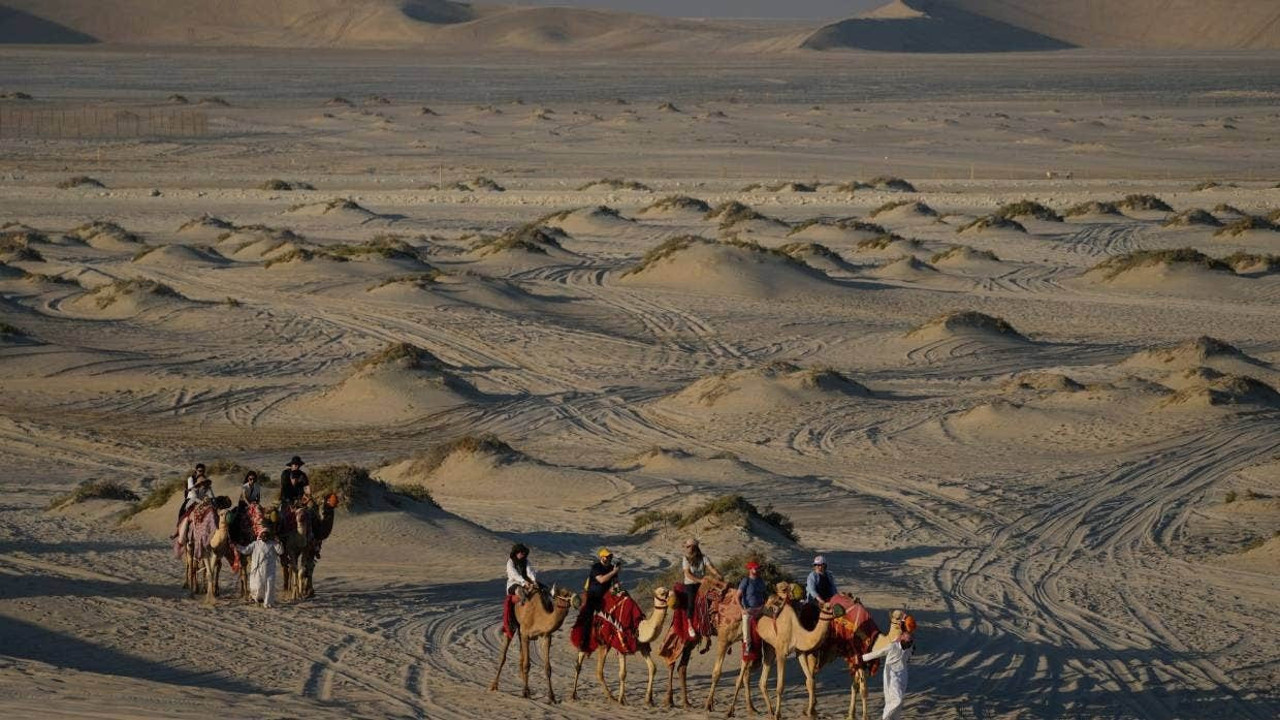 Dünya Kupası'nda develer fazla mesai yapıyor