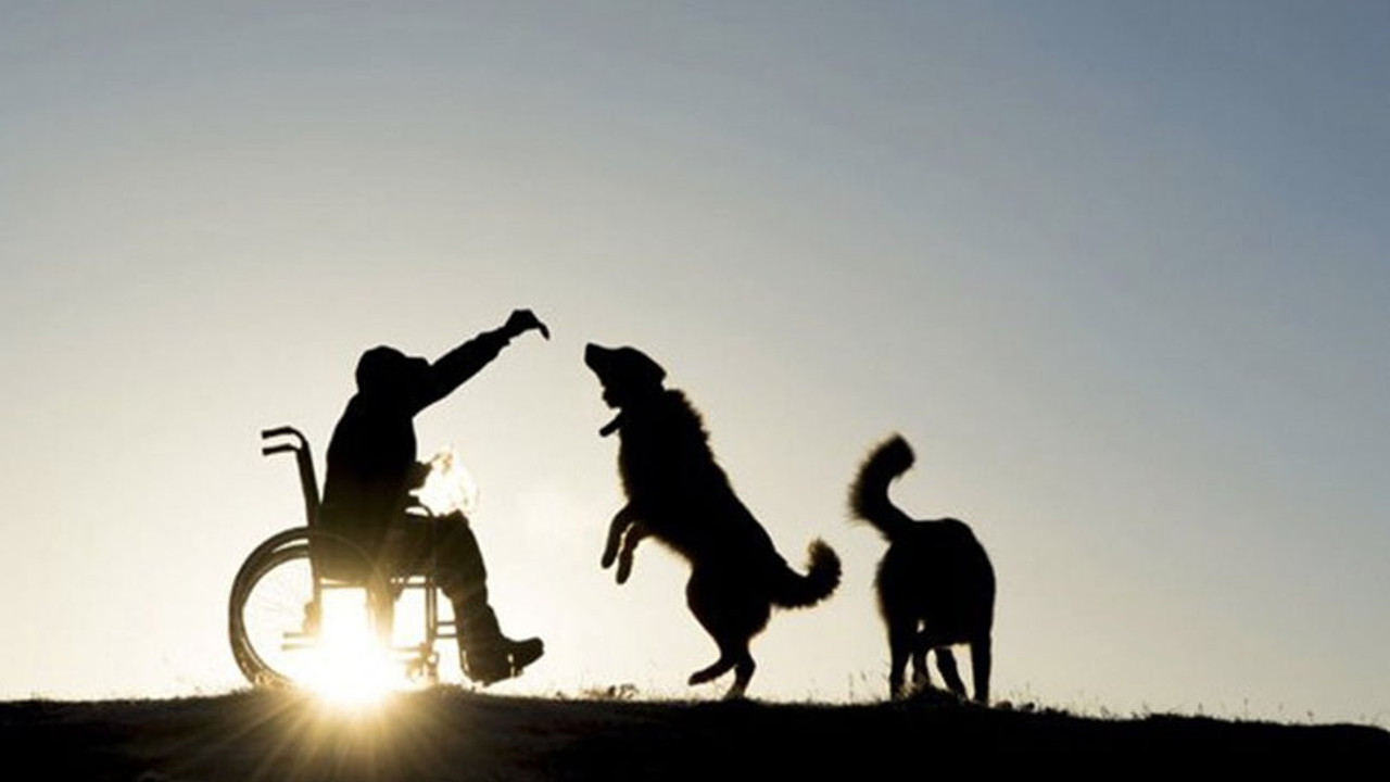 Dünya Engelliler Günü ne zaman? 3 Aralık Dünya Engelliler Günü nedir?