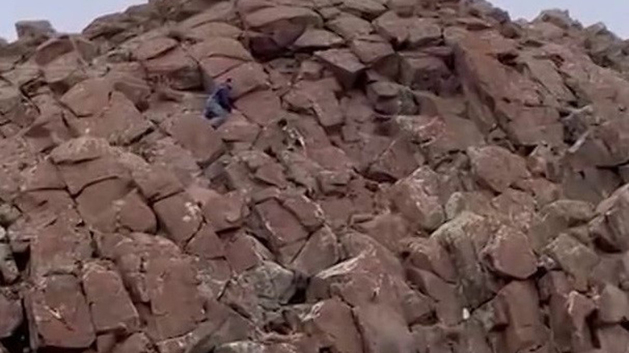 Kayalıklarda mahsur kalan köpek kurtarıldı