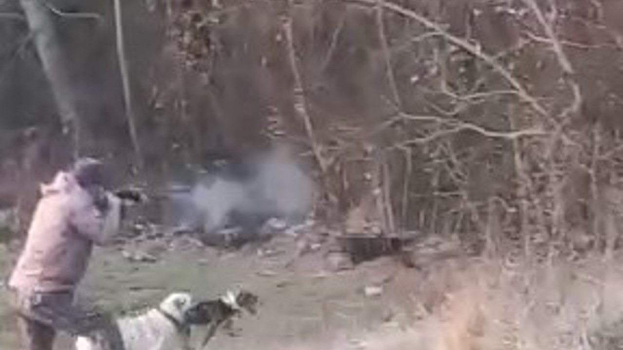 Bolu’da avcıya domuz saldırdı