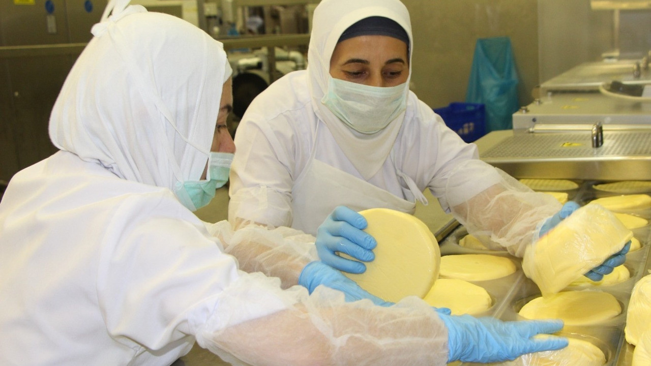 Kasım ayında fiyatı en fazla artan ürün belli oldu