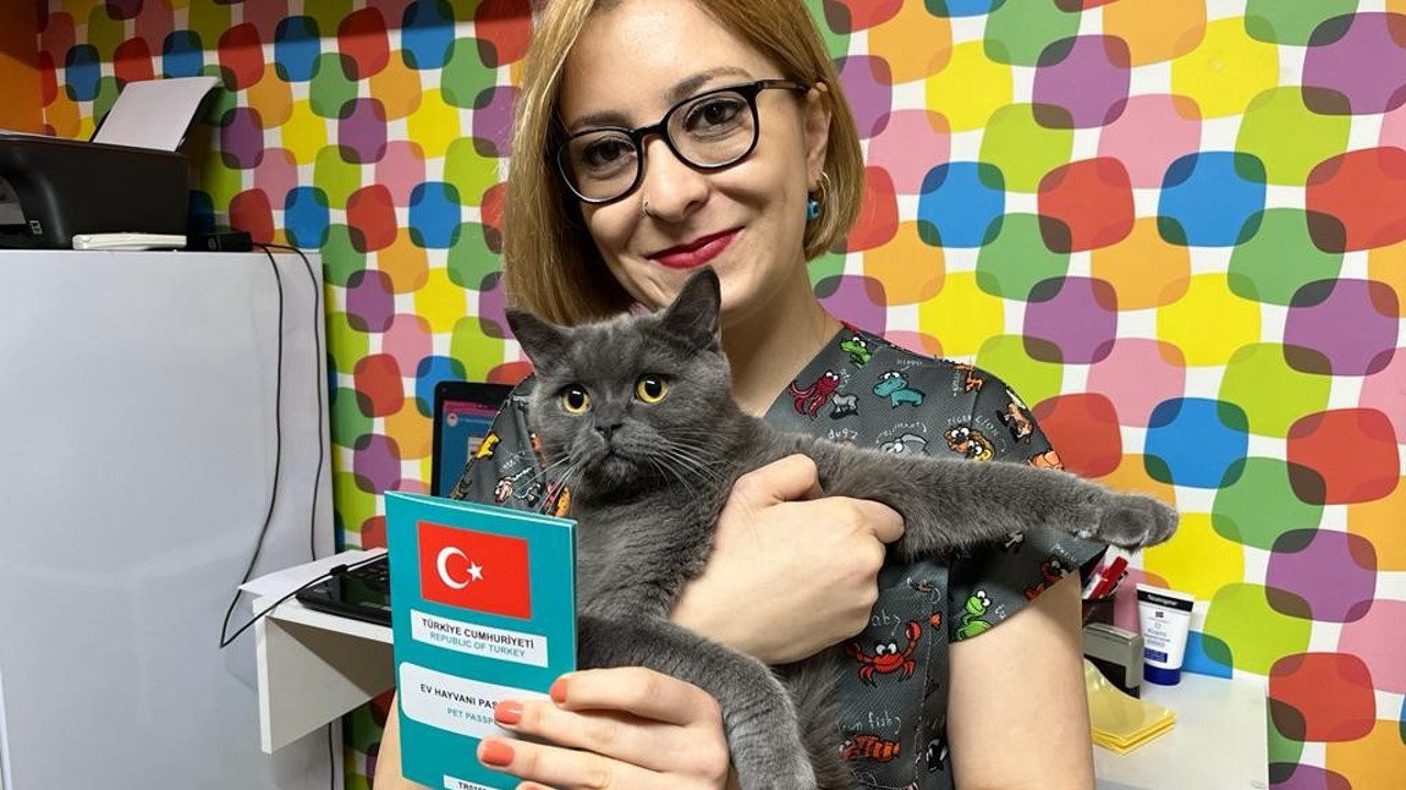 Evcil hayvanlara mikroçip uygulamasında zaman daralıyor