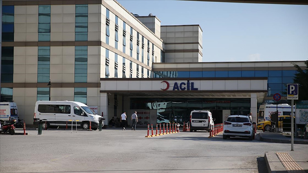 Düzce'de pitbull saldırısı! Hastanelik oldu