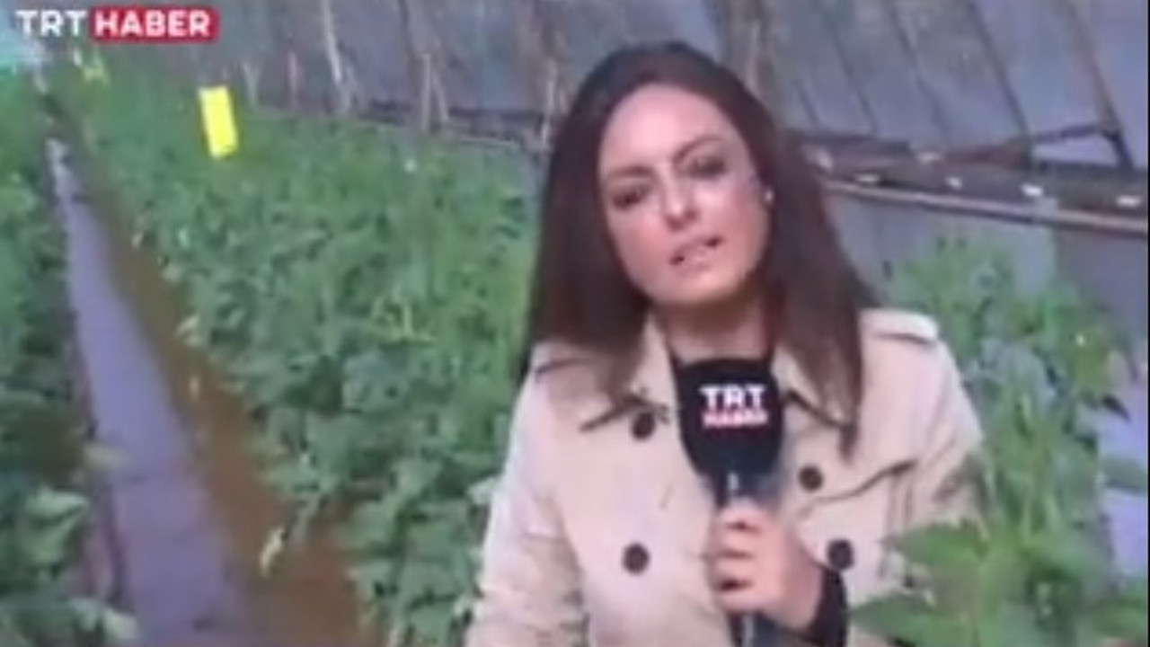 TRT muhabirinin çıkış haberi. Yüzde makyaj, üzerinde şık bir pardesü, ayağında çizme seradan yayın yaptı