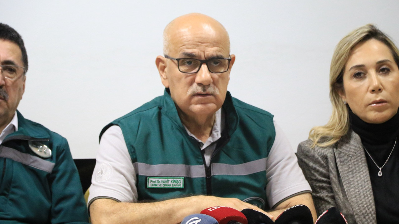 Sel felaketinde 12 bin sera zarar gördü