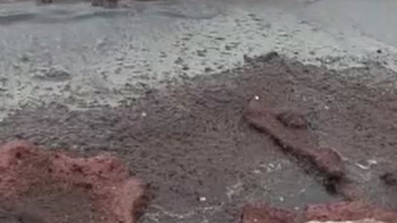 Sahil kırmızı yosunla doldu