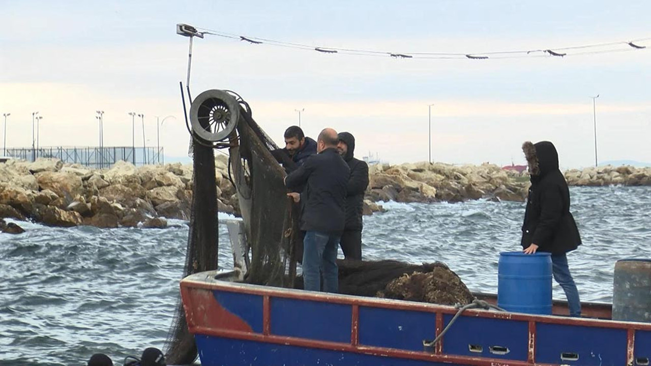Marmara'da 'hayalet ağ' temizliği