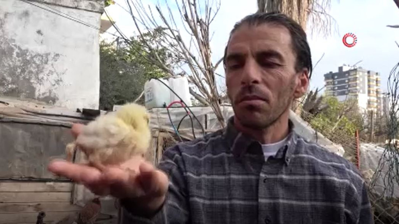 10 TL'lik civcive 100 TL verdiler. Bakan bir daha bakıyor