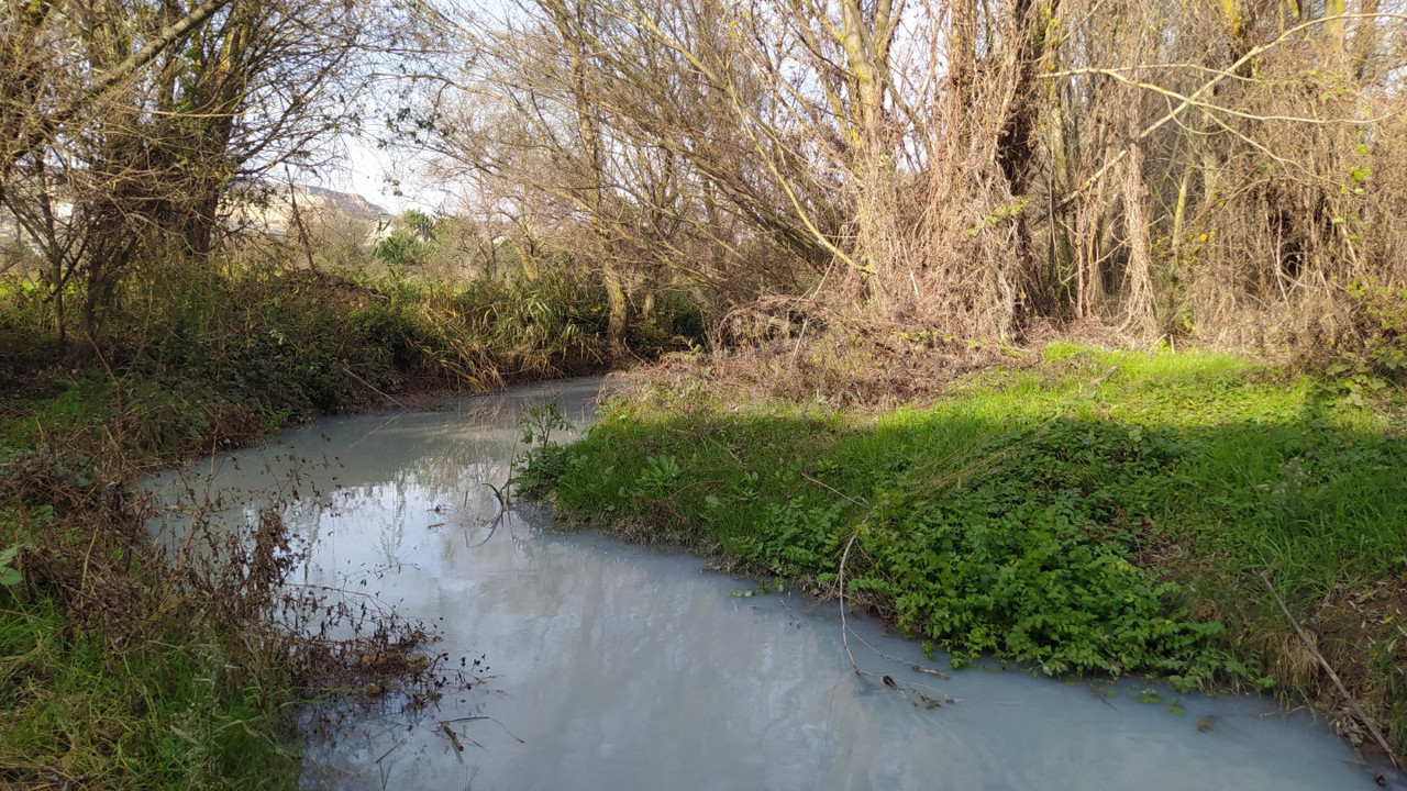 Çatalca'daki Muratbey Deresi'nde alarm! Suyun rengi maviye döndü