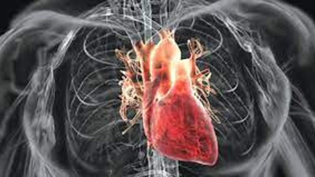 Kalp yetmezliği neden olur? (18 Aralık 2022)