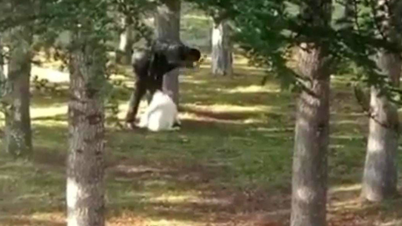 Köpeği kemerle döven şahıs yakalandı