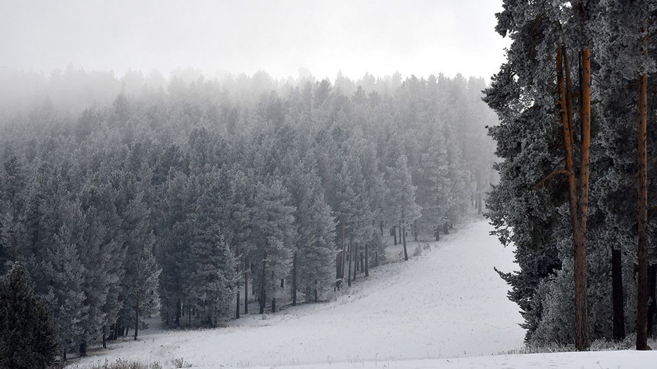 Doğu Anadolu'da soğuk hava ve kar etkili oluyor