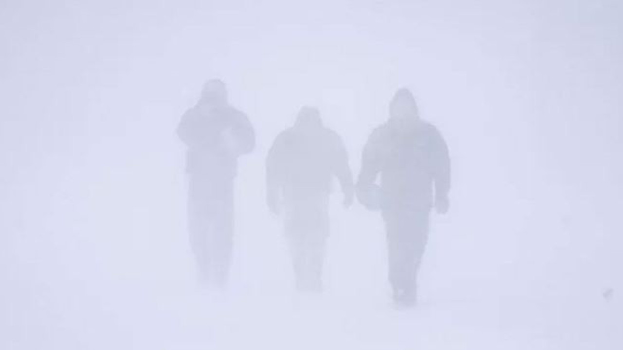 Gökten yarasa yağdı. Görenler şaşkına döndü