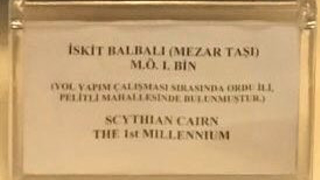 Ordu'da 1986 yılında bir yol kazısında bulundu